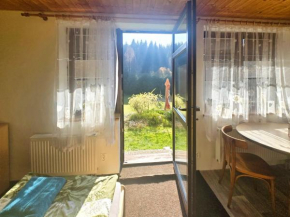 APARTMÁN u SJEZDOVKY Albrechtice U Českého Těšína